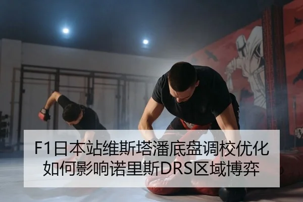 ri-ben-zhan-wei-si-ta-pan-di-pan-diao-xiao-you-hua-ru-he-ying-xiang-nuo-li-si-qu-yu-bo-yi-2-959.jpg